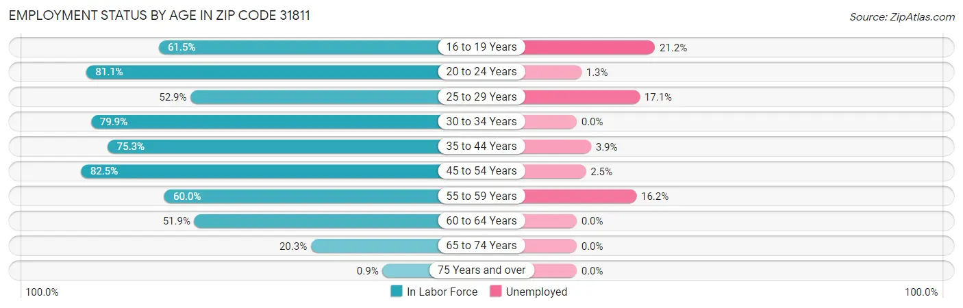 Employment Status by Age in Zip Code 31811