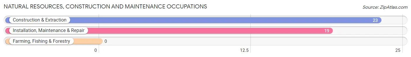 Natural Resources, Construction and Maintenance Occupations in Zip Code 31812