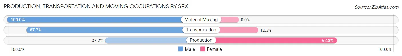 Production, Transportation and Moving Occupations by Sex in Zip Code 31816
