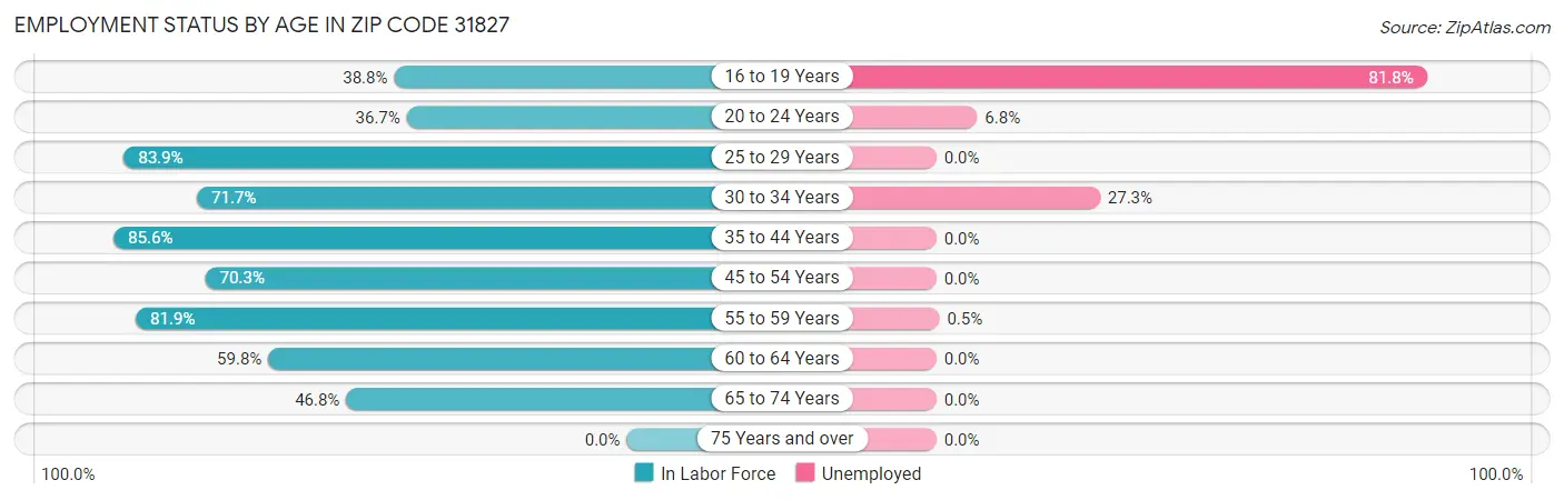 Employment Status by Age in Zip Code 31827