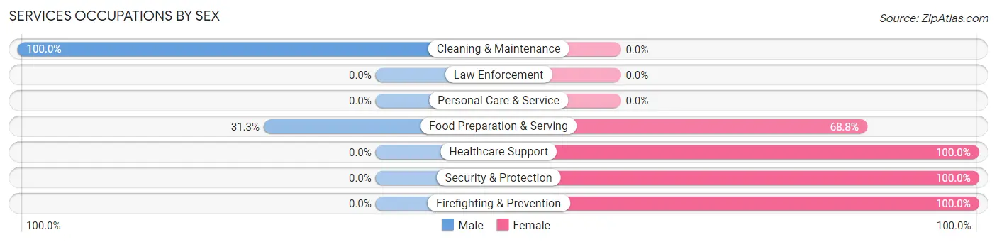 Services Occupations by Sex in Zip Code 31827