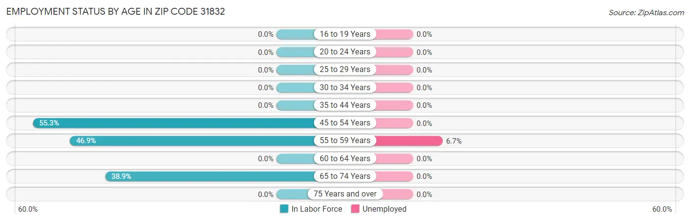 Employment Status by Age in Zip Code 31832