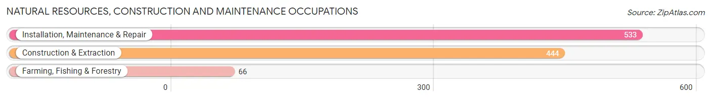 Natural Resources, Construction and Maintenance Occupations in Zip Code 31904