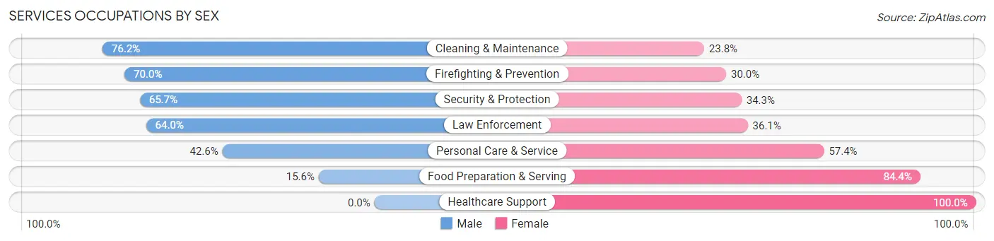 Services Occupations by Sex in Zip Code 32024