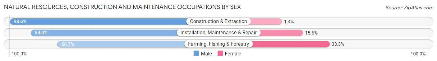 Natural Resources, Construction and Maintenance Occupations by Sex in Zip Code 32025