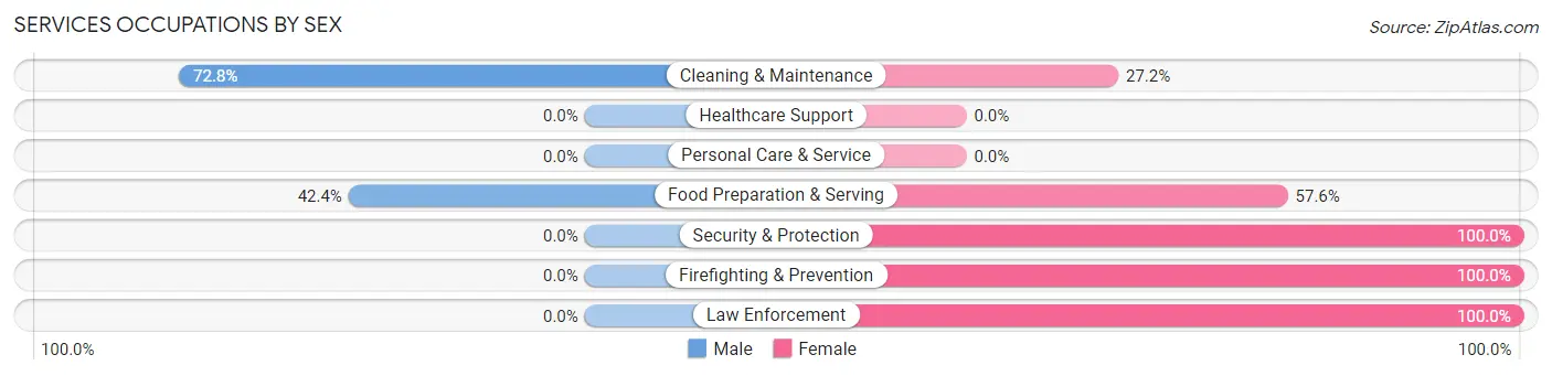 Services Occupations by Sex in Zip Code 32033