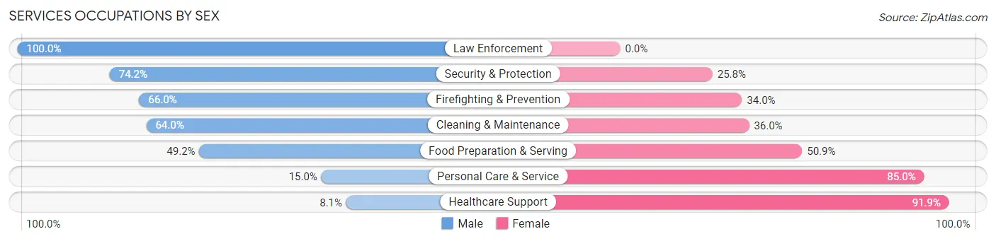 Services Occupations by Sex in Zip Code 32034