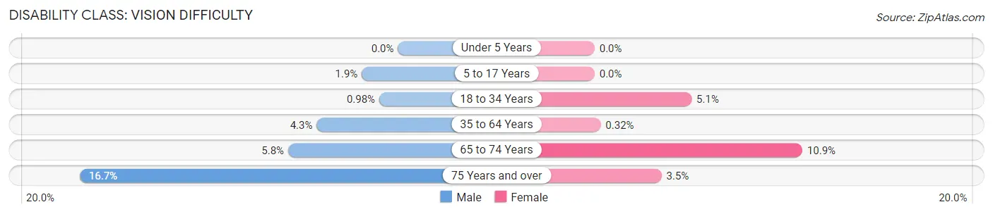 Disability in Zip Code 32038: <span>Vision Difficulty</span>