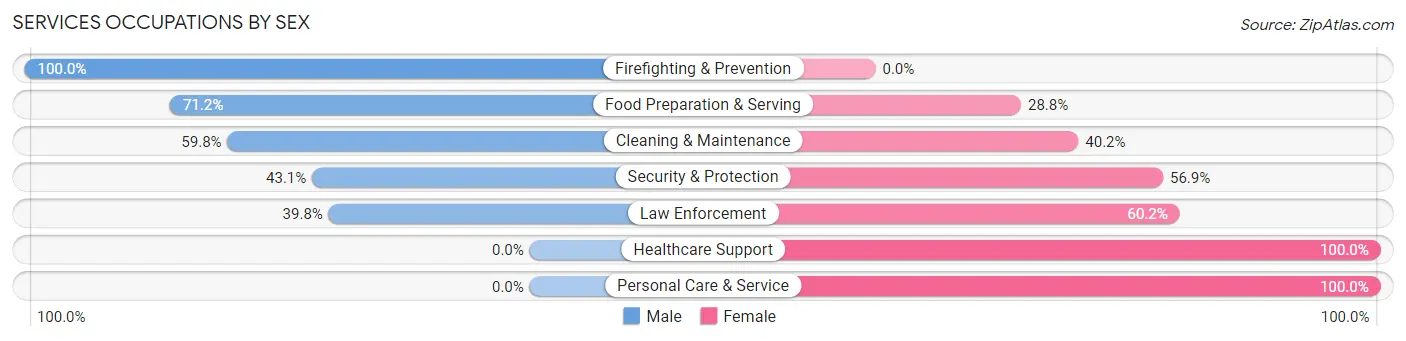 Services Occupations by Sex in Zip Code 32040
