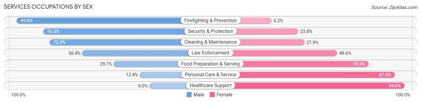 Services Occupations by Sex in Zip Code 32043