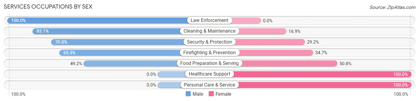 Services Occupations by Sex in Zip Code 32046