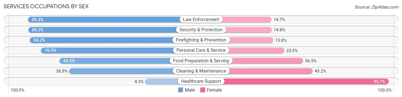 Services Occupations by Sex in Zip Code 32054