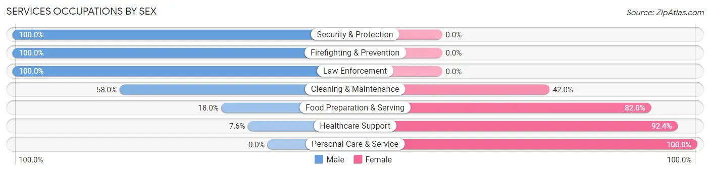 Services Occupations by Sex in Zip Code 32055