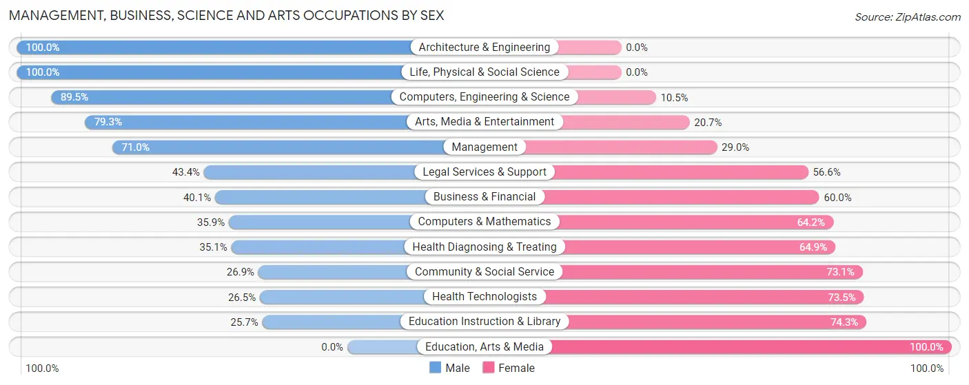 Management, Business, Science and Arts Occupations by Sex in Zip Code 32063
