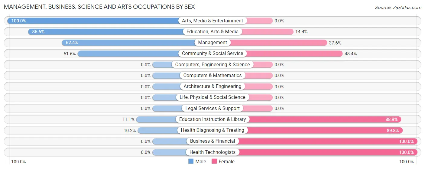 Management, Business, Science and Arts Occupations by Sex in Zip Code 32066