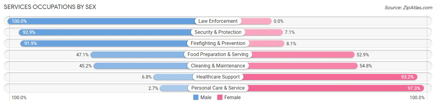 Services Occupations by Sex in Zip Code 32084
