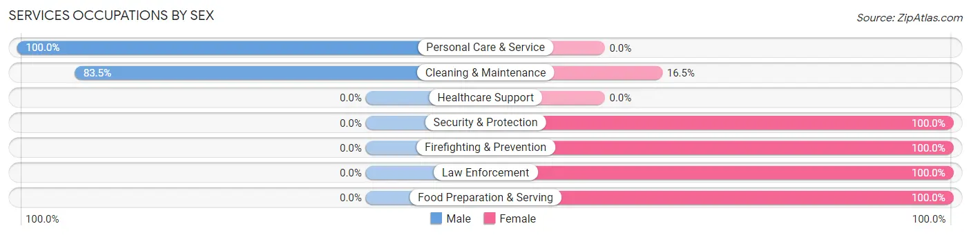 Services Occupations by Sex in Zip Code 32094