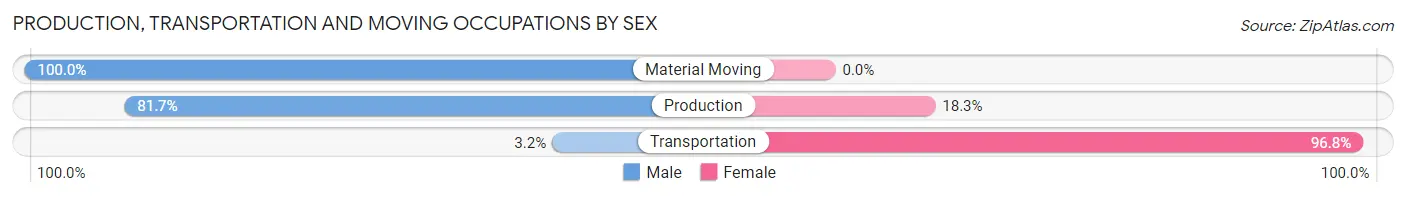 Production, Transportation and Moving Occupations by Sex in Zip Code 32095