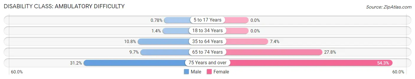 Disability in Zip Code 32097: <span>Ambulatory Difficulty</span>