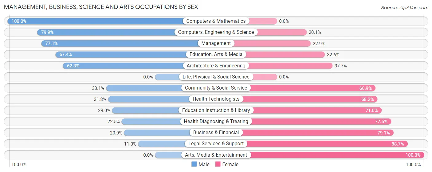 Management, Business, Science and Arts Occupations by Sex in Zip Code 32128