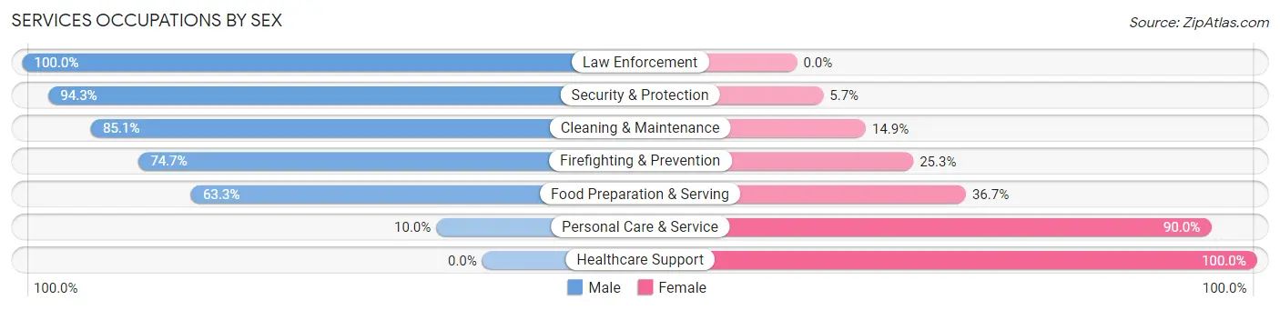 Services Occupations by Sex in Zip Code 32128