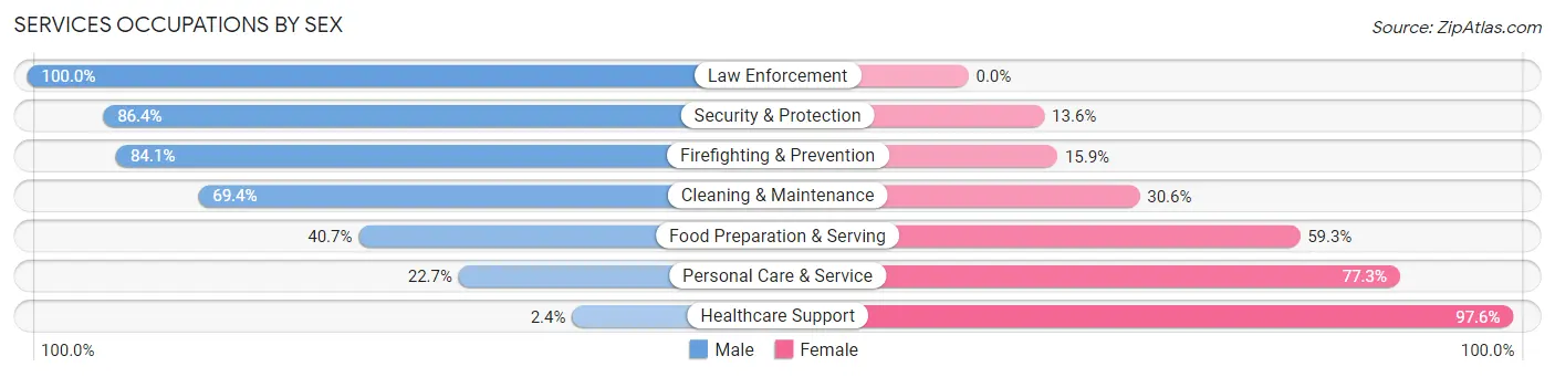 Services Occupations by Sex in Zip Code 32129