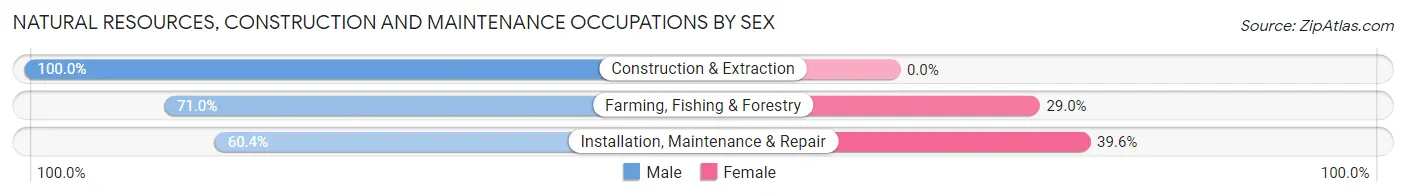 Natural Resources, Construction and Maintenance Occupations by Sex in Zip Code 32131