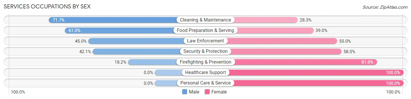 Services Occupations by Sex in Zip Code 32177