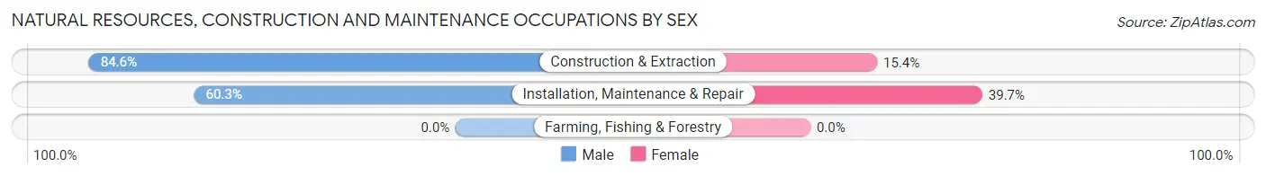 Natural Resources, Construction and Maintenance Occupations by Sex in Zip Code 32206