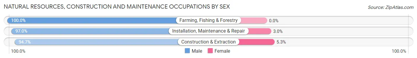 Natural Resources, Construction and Maintenance Occupations by Sex in Zip Code 32208