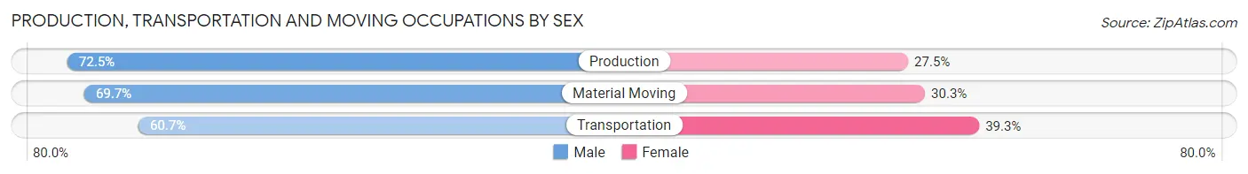 Production, Transportation and Moving Occupations by Sex in Zip Code 32209