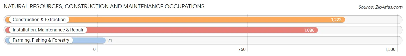 Natural Resources, Construction and Maintenance Occupations in Zip Code 32225