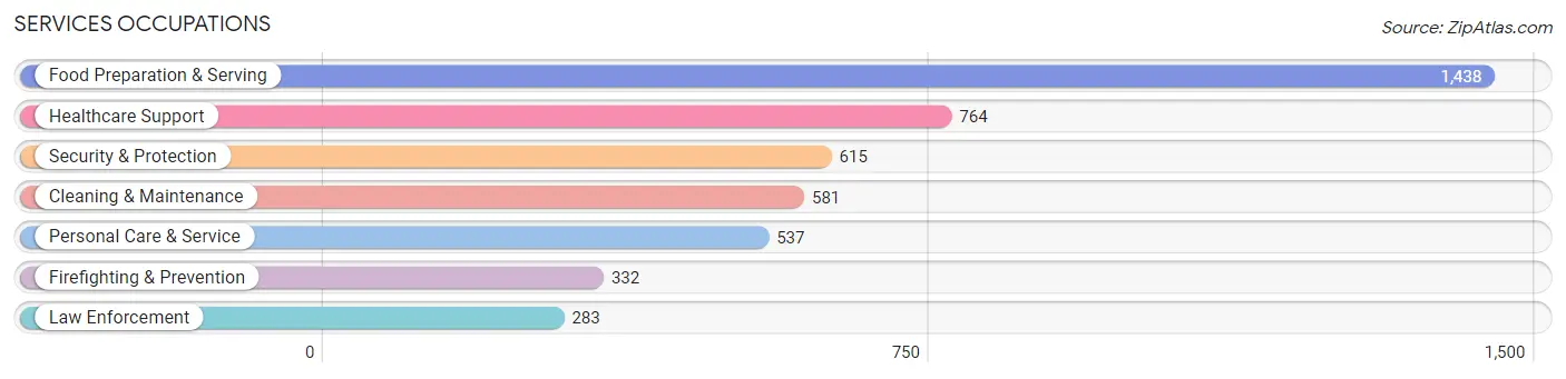 Services Occupations in Zip Code 32225