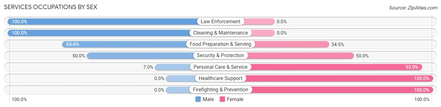 Services Occupations by Sex in Zip Code 32226