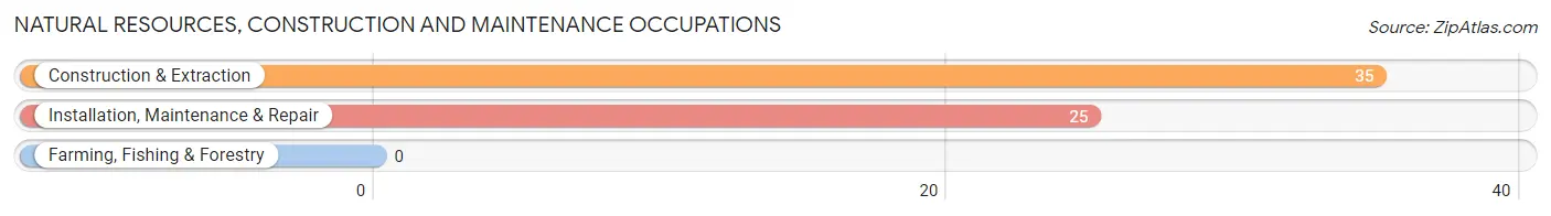 Natural Resources, Construction and Maintenance Occupations in Zip Code 32227