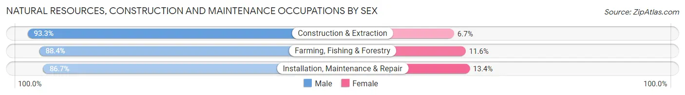 Natural Resources, Construction and Maintenance Occupations by Sex in Zip Code 32304