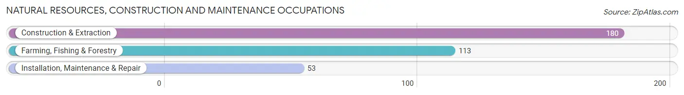 Natural Resources, Construction and Maintenance Occupations in Zip Code 32328