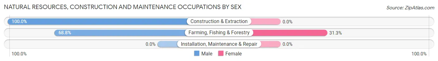 Natural Resources, Construction and Maintenance Occupations by Sex in Zip Code 32332