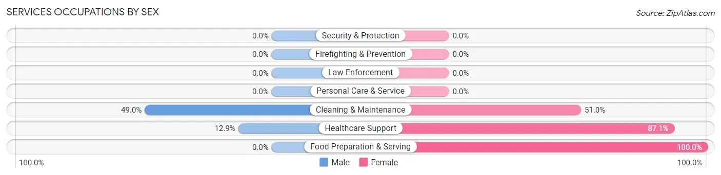 Services Occupations by Sex in Zip Code 32332