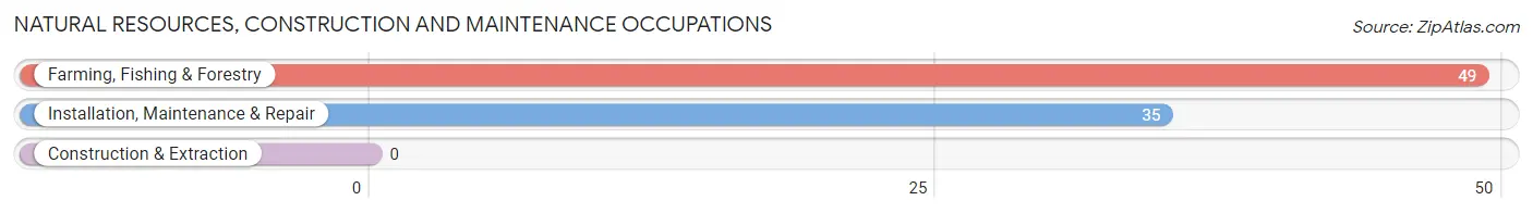 Natural Resources, Construction and Maintenance Occupations in Zip Code 32350