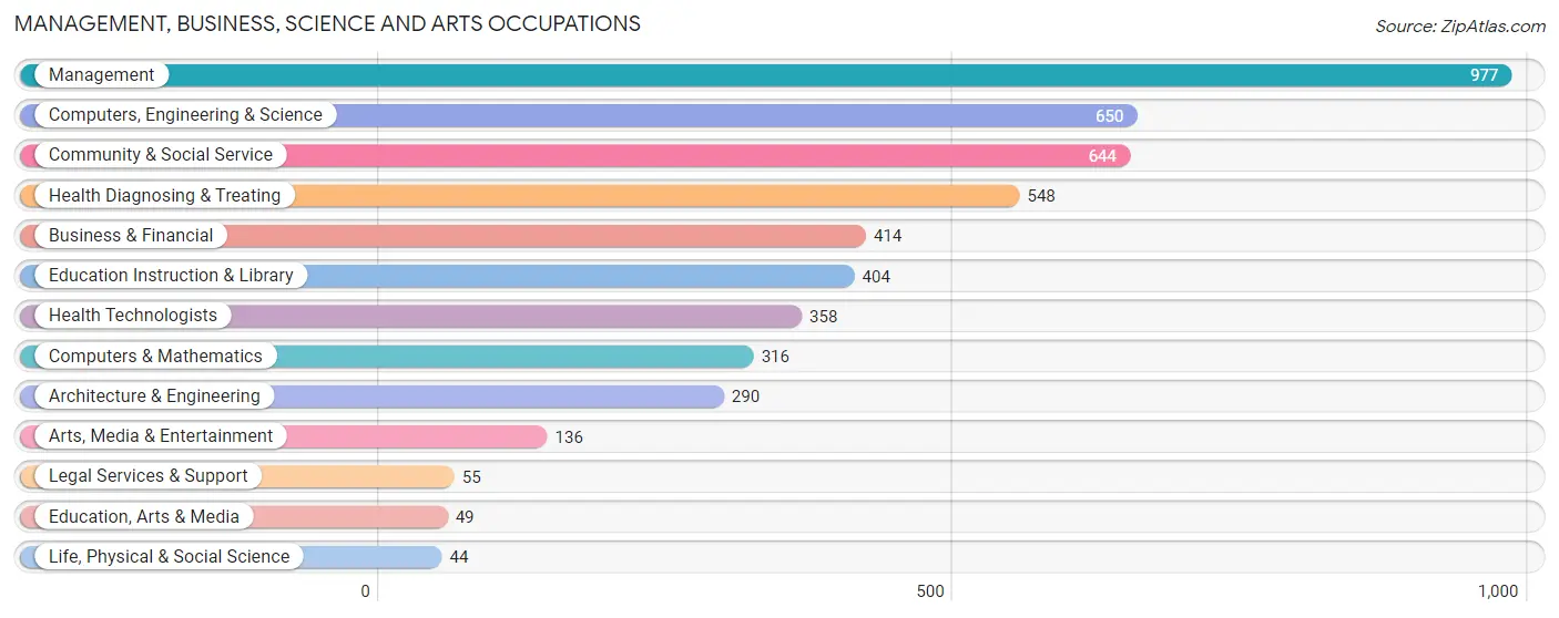 Management, Business, Science and Arts Occupations in Zip Code 32407