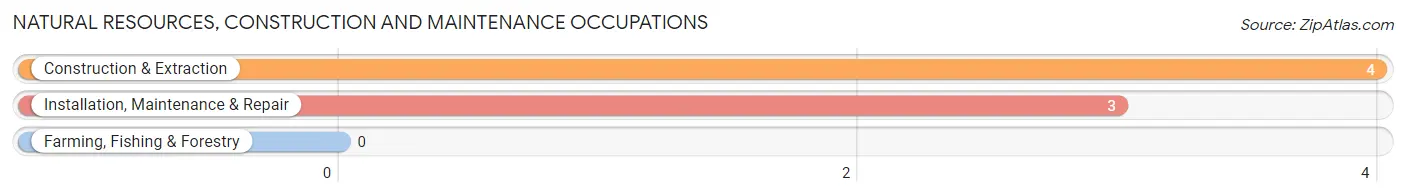 Natural Resources, Construction and Maintenance Occupations in Zip Code 32410