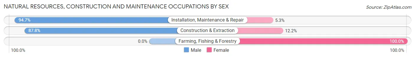 Natural Resources, Construction and Maintenance Occupations by Sex in Zip Code 32536