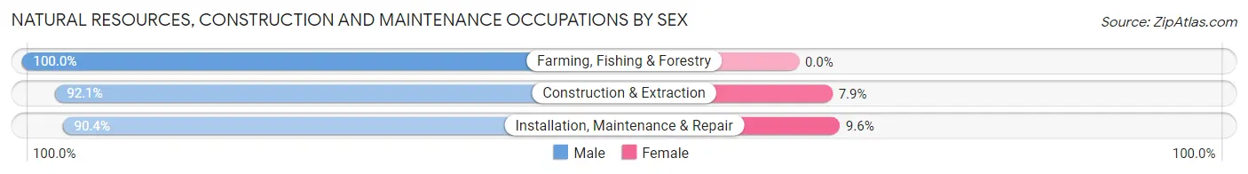 Natural Resources, Construction and Maintenance Occupations by Sex in Zip Code 32568