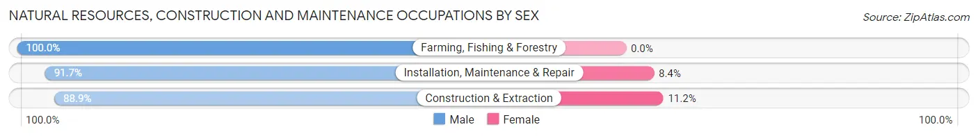 Natural Resources, Construction and Maintenance Occupations by Sex in Zip Code 32571