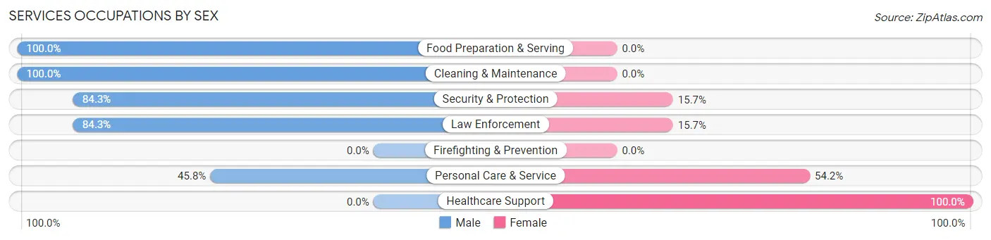 Services Occupations by Sex in Zip Code 32617