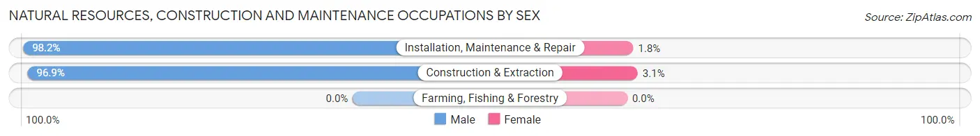 Natural Resources, Construction and Maintenance Occupations by Sex in Zip Code 32708