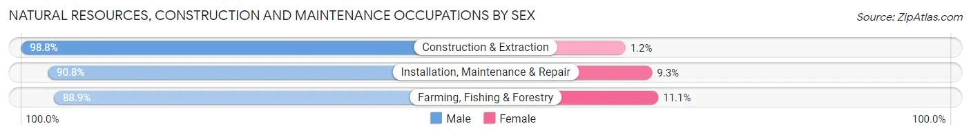 Natural Resources, Construction and Maintenance Occupations by Sex in Zip Code 32724
