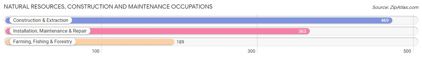 Natural Resources, Construction and Maintenance Occupations in Zip Code 32726