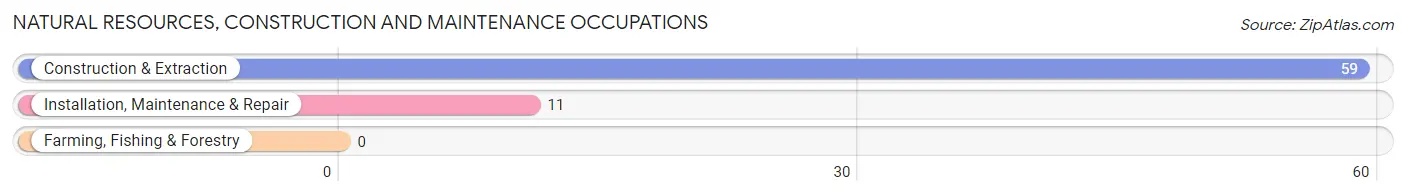 Natural Resources, Construction and Maintenance Occupations in Zip Code 32759